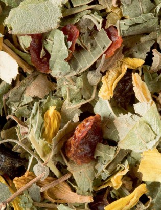 Tisane de la Reyne