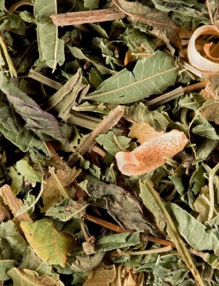 Tisane du Berger