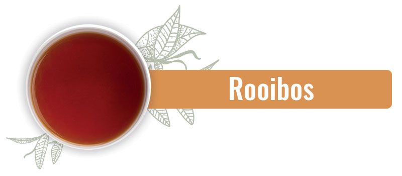 Rooibos